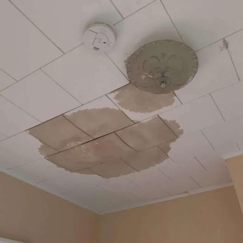 Ceiling Water Damage Repair in Mount Gilead, OH