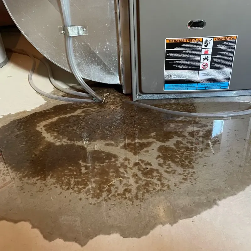 Pipe Burst and Leak Restoration in Mount Gilead, OH