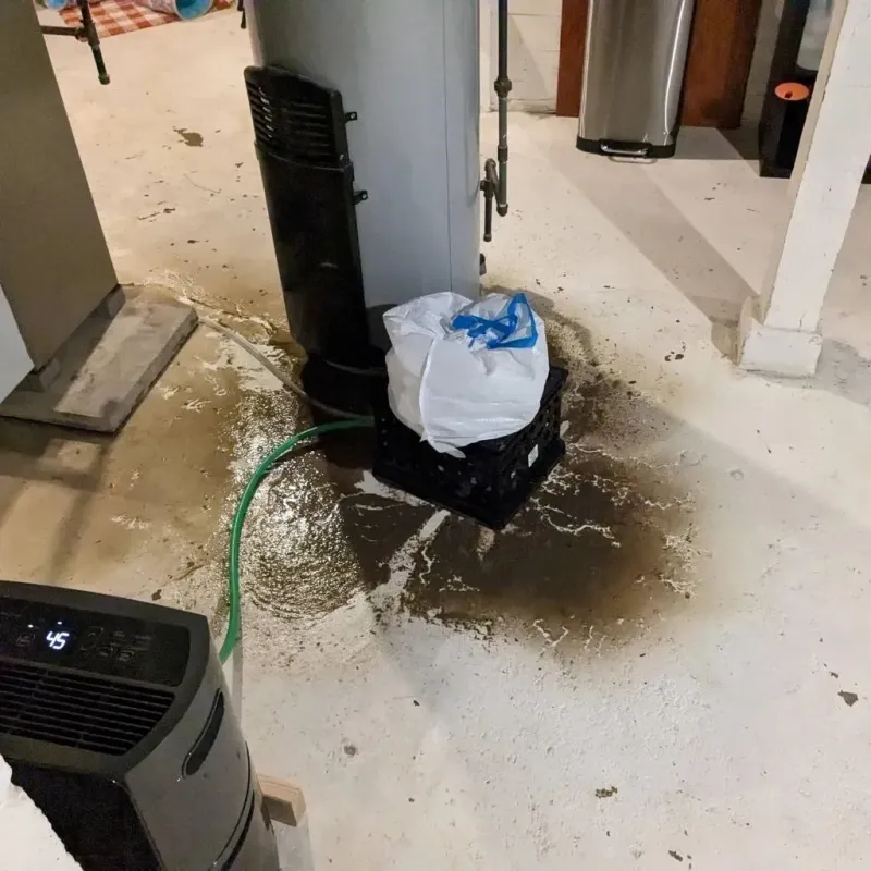 Sewage Backup Cleanup Service in Mount Gilead, OH